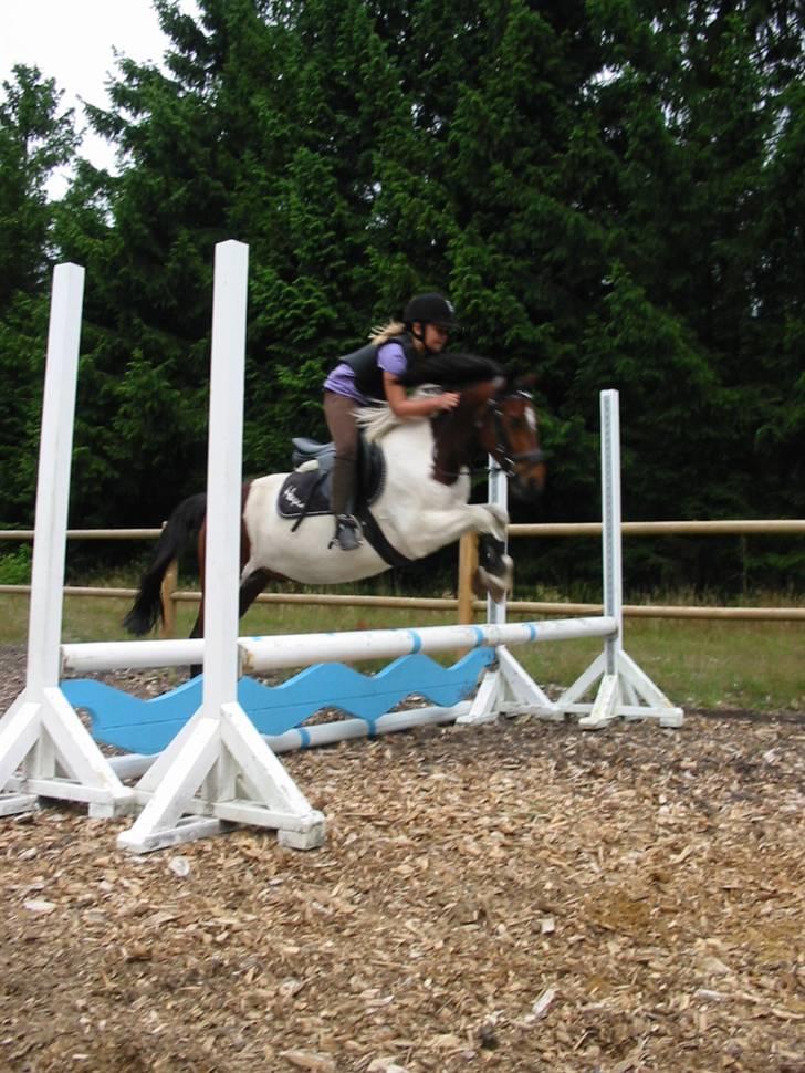 Pinto Hopla - mig og hopla til træning billede 2
