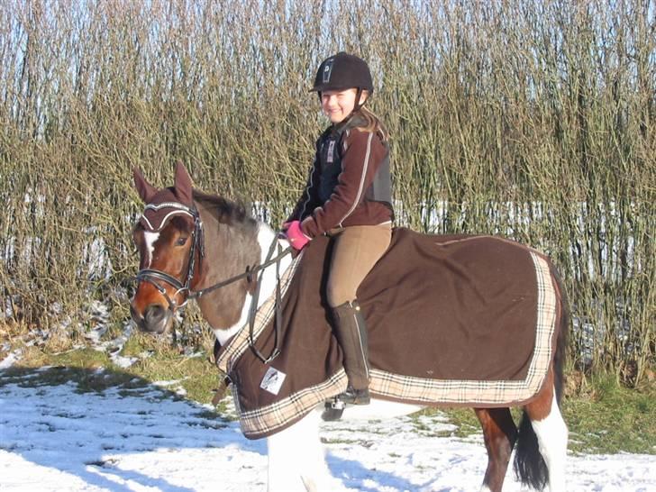 Pinto Hopla - mig og hopla i sne ude på IRK billede 3