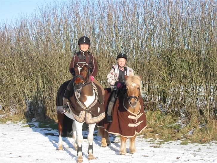 Pinto Hopla - hopla,mig,lille prins og emilie billede 4