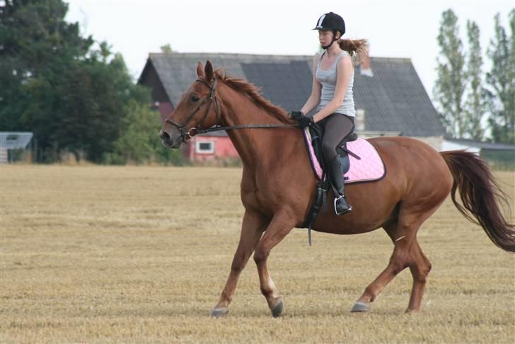 Anden særlig race Fleur - Fleur i galop på mark :) billede 13