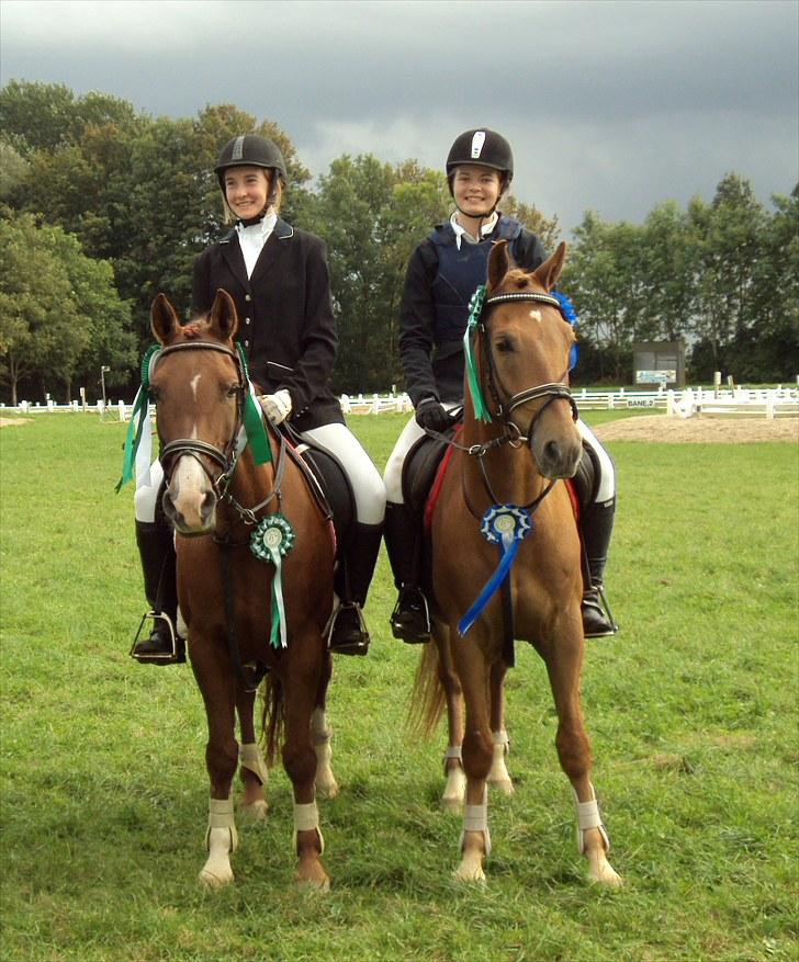 Tysk Sportspony Bacardi - Verdens sejeste ponyer til ponystævne d. 19. september 2010 (y) billede 11