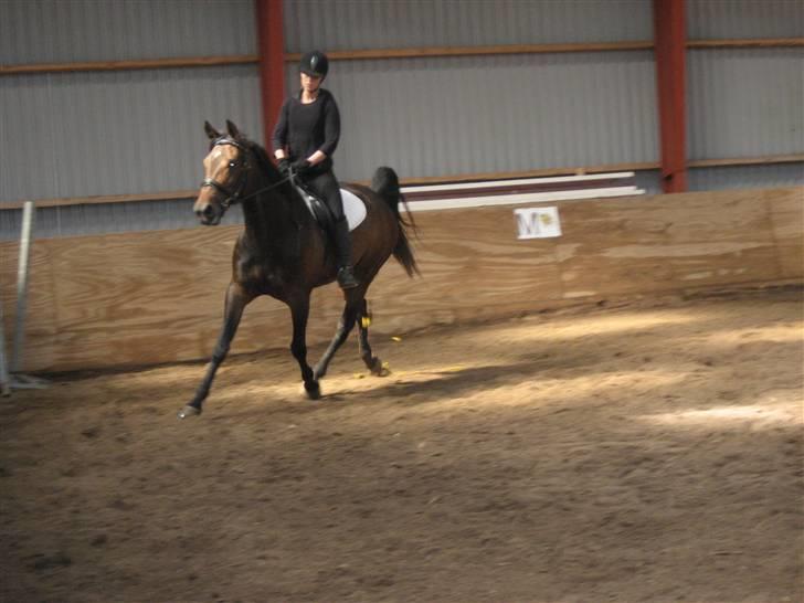Traver Lady´s Chill - Foto:   Jeanet.. billede 12