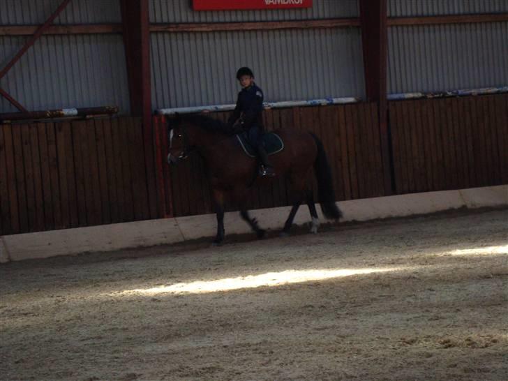 New Forest Toffifee(gl. udlån) billede 6