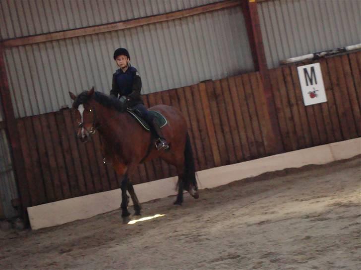 New Forest Toffifee(gl. udlån) billede 8