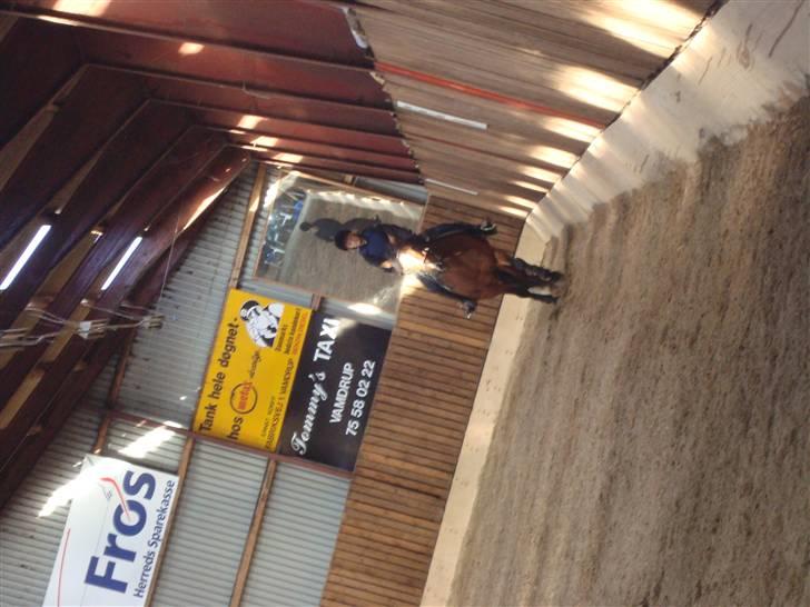 New Forest Toffifee(gl. udlån) billede 10