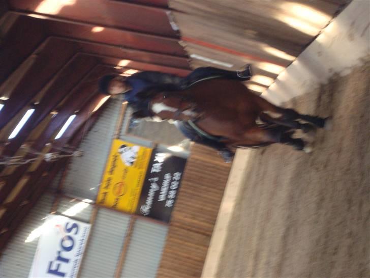 New Forest Toffifee(gl. udlån) billede 11