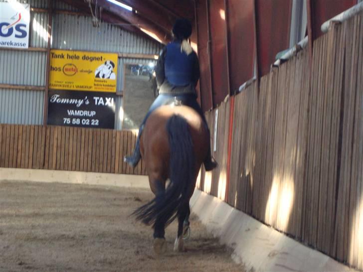 New Forest Toffifee(gl. udlån) billede 16