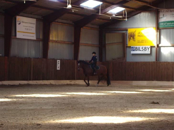 New Forest Toffifee(gl. udlån) billede 17