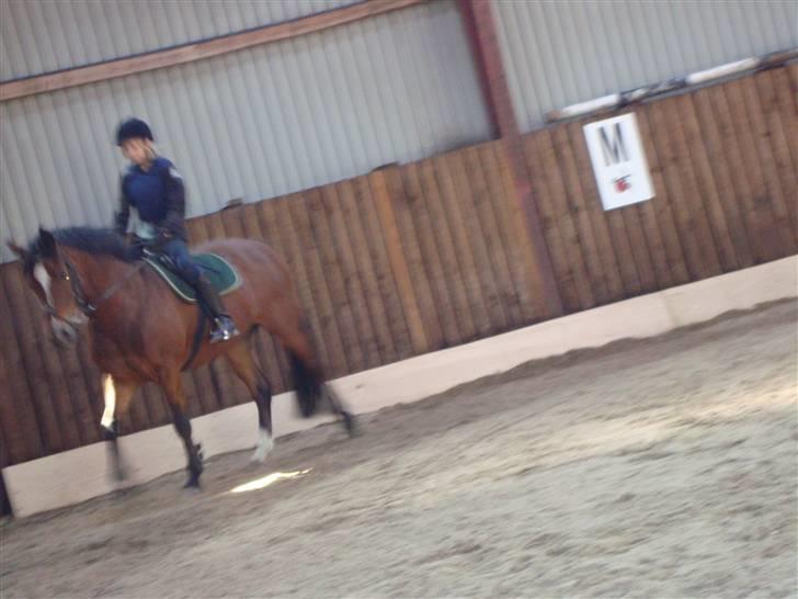 New Forest Toffifee(gl. udlån) billede 19