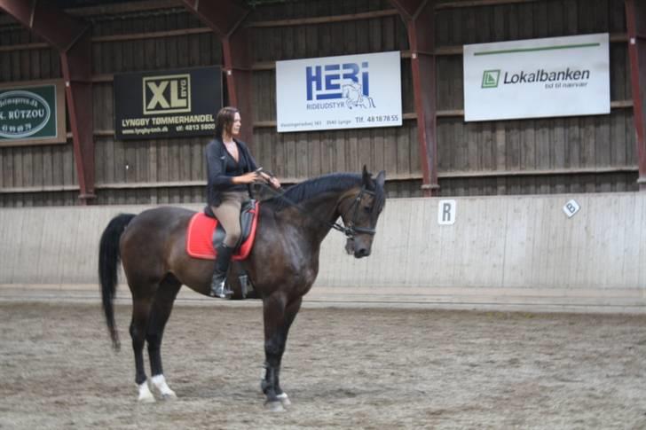 Dansk Varmblod Rubin [Himmelhest] - Moster rider (; billede 11