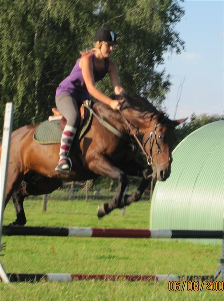 Anden særlig race Claythorpe Josephine - Hopla! :) .. 6/8-09. billede 14