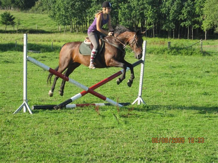 Anden særlig race Claythorpe Josephine - Wee spring :) .. 6/8-09. billede 15