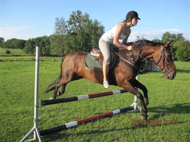 Anden særlig race Claythorpe Josephine - Første gang Elisabeth springer på Figne! x) .. 6/8-09. billede 16