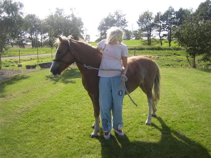 Dartmoor skovbrynets burat (split) solgt  billede 19