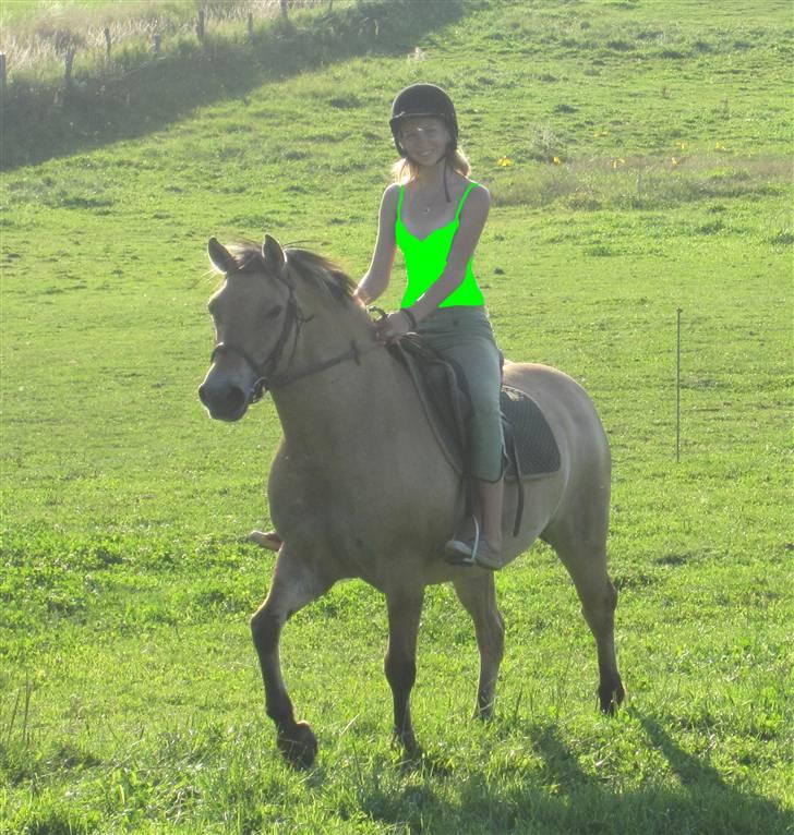 Fjordhest Sif - Ridelejr hos helene :D billede 15