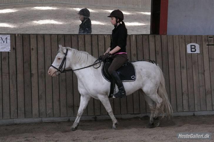 Anden særlig race Ofelia! *SOLGT:´(* - Loden og Øflingen(: i Ulsted foto: Sandra(: billede 17