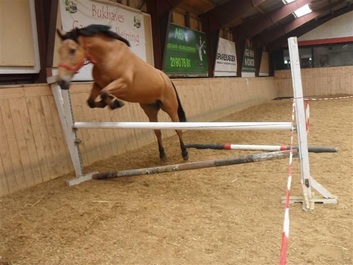 Anden særlig race Bratz <3 - Løsspring ;D billede 7