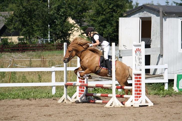 Islænder - ASI - Damp'dyret.<3 - ´ Første LCmin nogensinde, med kun 4 fejl, fordi jeg dummede mig .. :( ´
Aldrig mere stævner.. s;'
Casper Pedersen 2010 billede 5