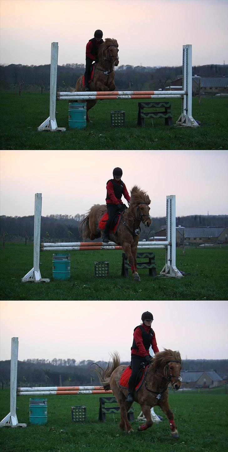 Islænder - ASI - Damp'dyret.<3 - ´ ALWAYS REMEMBER - FOLLOW YOUR DREAM! ´
Dengang vi var et stævnepar med bid. Det er datid.. :(
Hanne Pedersen 2011 billede 3