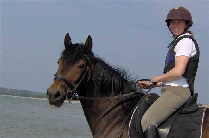 New Forest Pan (Panse Mandse) - ER han ikke nuttet? billede 14