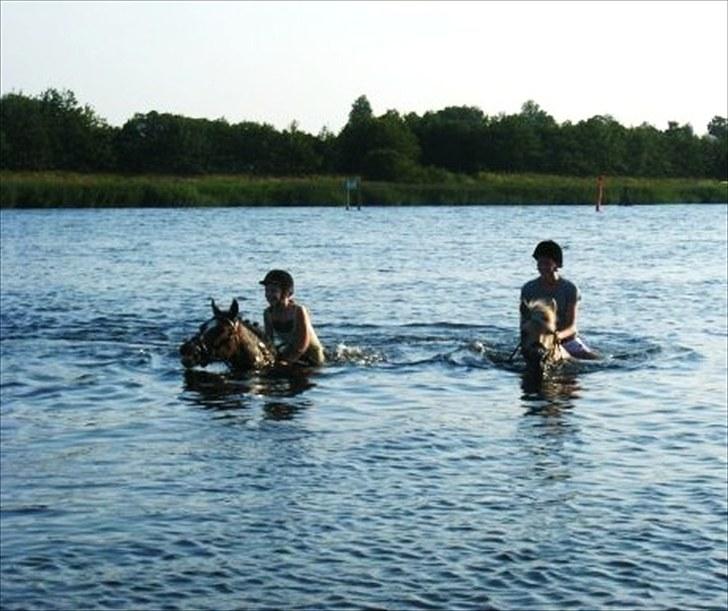 Tysk Sportspony Nelly   - mig & Nelly bader ved fjorden:) billede 4