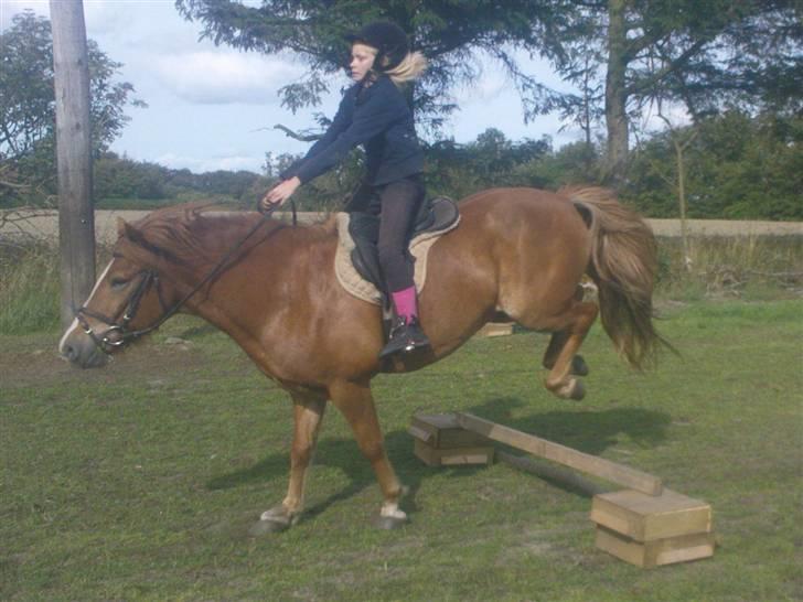 Islænder Iði  x-part billede 12