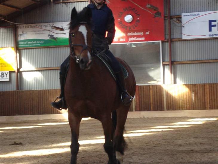 {{currentPhoto.altText}} billede {{currentPhoto.number}}