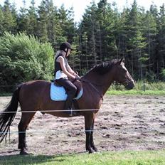 Anden særlig race bandit<3