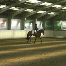 Anden særlig race Penelope<3