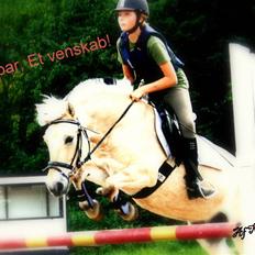 Fjordhest Elaiza Ore <3 |Gl part|