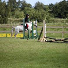 Anden særlig race Perle :*<3 DP:* R.I.P  :(