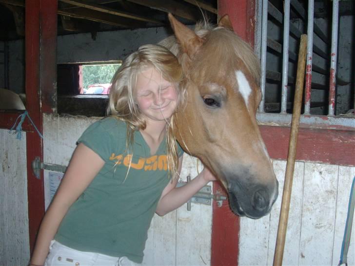 Anden særlig race Picasso!<3 - savnet. - Aneline og Picasso billede 12