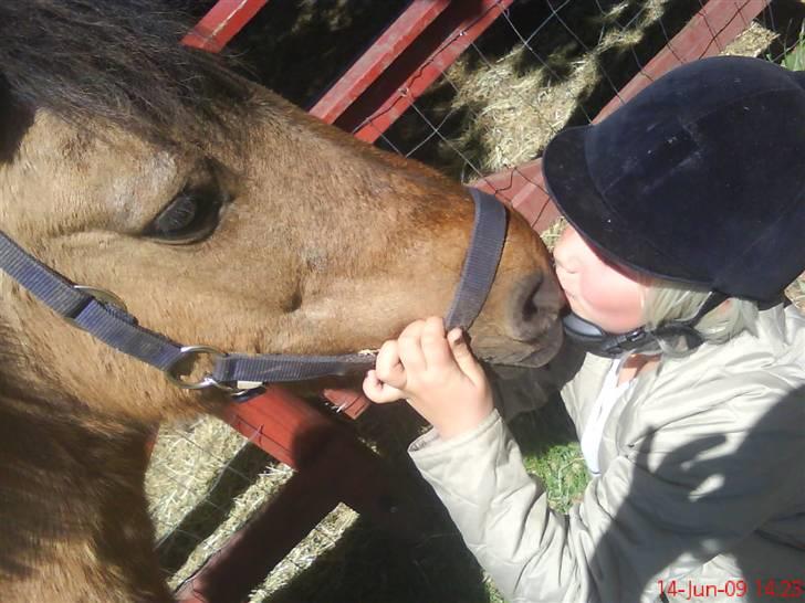 Anden særlig race Lunte †R.I.P† billede 4