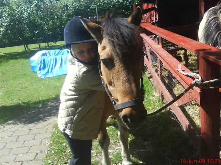 Anden særlig race Lunte †R.I.P† billede 5