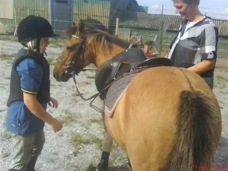 Anden særlig race Lunte †R.I.P† billede 9