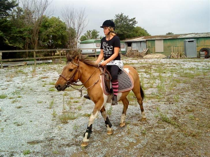 Anden særlig race Lunte †R.I.P† billede 10