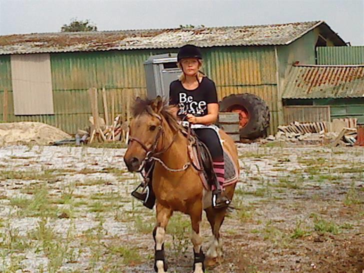 Anden særlig race Lunte †R.I.P† billede 11