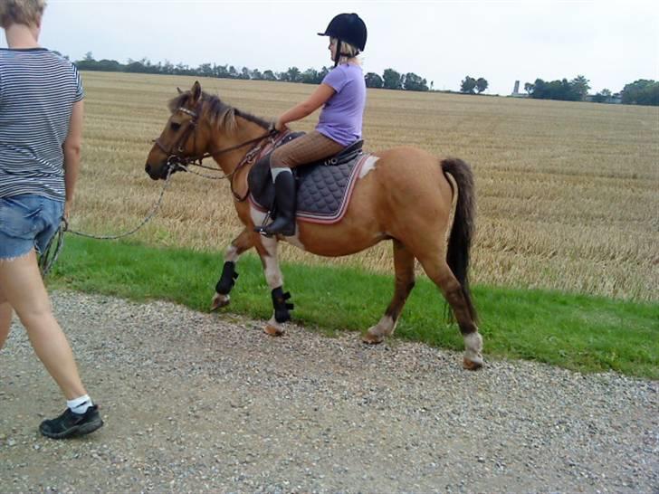 Anden særlig race Lunte †R.I.P† billede 14