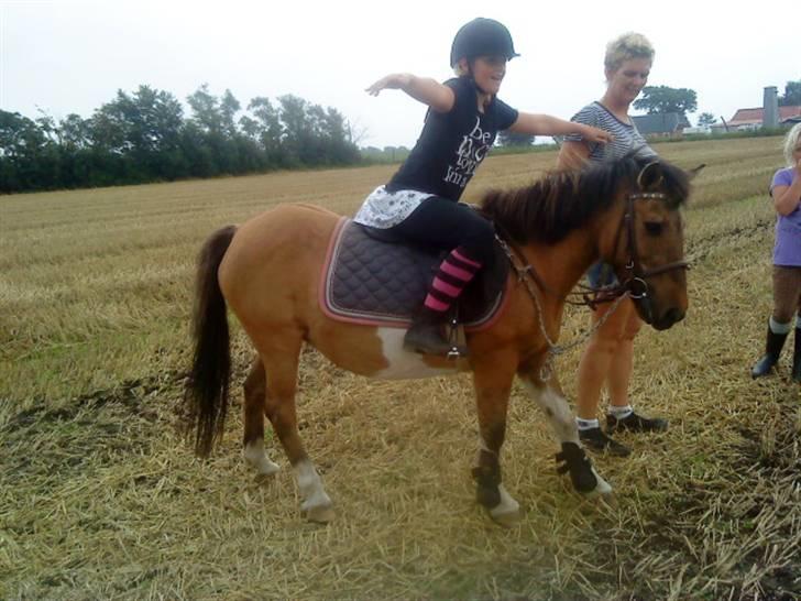 Anden særlig race Lunte †R.I.P† billede 15