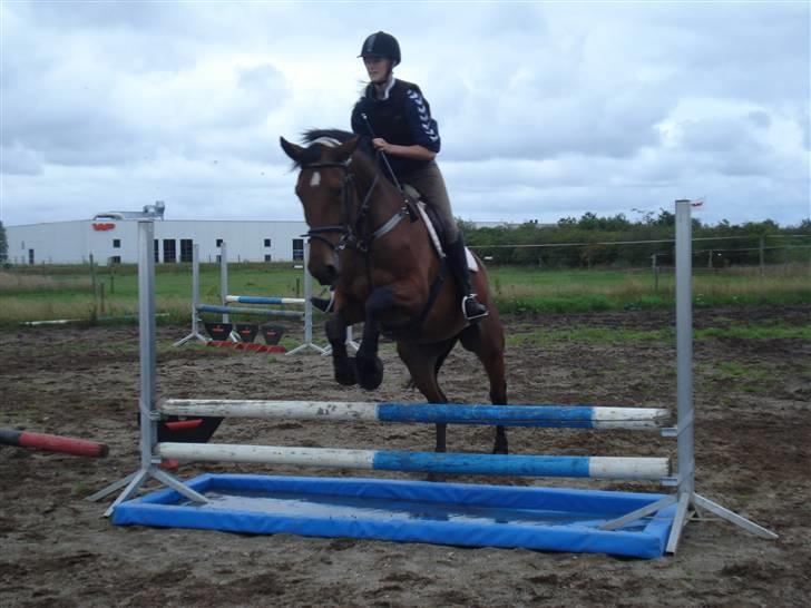 Anden særlig race Sunshine - Over vandet :D Til springning d. 11 august 2009. Foto: Julie M. Jensen.  billede 2