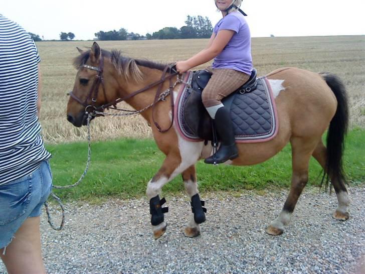 Anden særlig race Lunte †R.I.P† billede 18