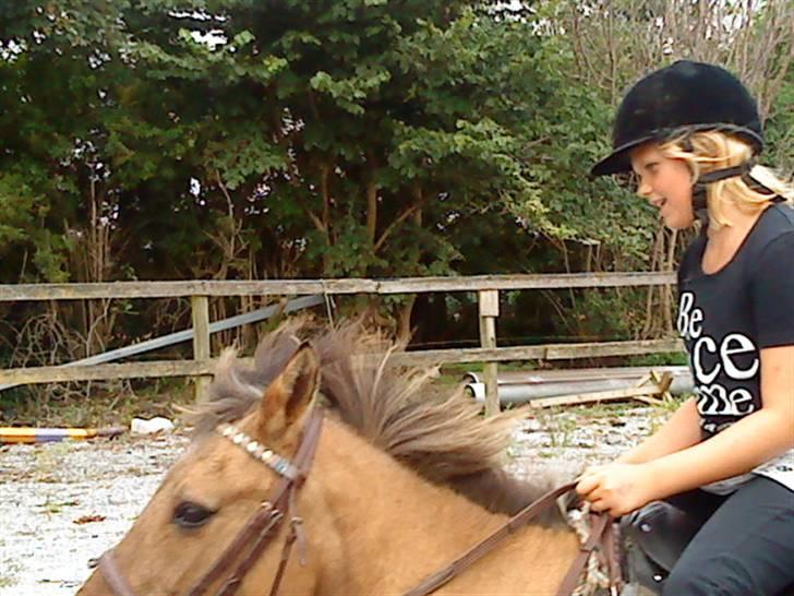 Anden særlig race Lunte †R.I.P† billede 20