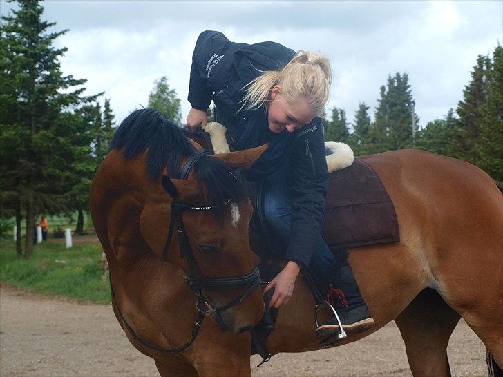 Anden særlig race Sunshine - Sunshine og jeg i en hyggestund d. 15 maj 2011.  billede 7