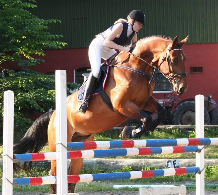 Anden særlig race Prominente II    - R.I.P. - Sankt Hans i DRLR billede 1