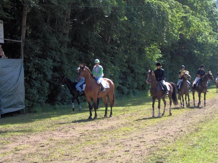 Anden særlig race Prominente II    - R.I.P. - Asaa væddeløb 2006 billede 8