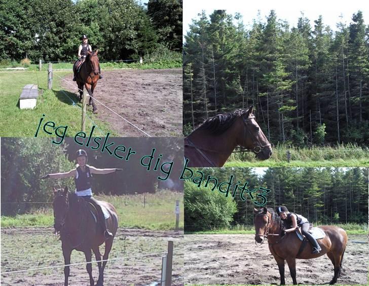 Anden særlig race bandit<3 billede 6