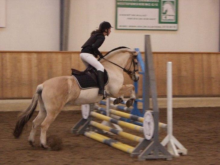 Fjordhest Søs - Mig & Søs til Stævne, 60 cm Sløjfespring - 31/10-10  billede 13