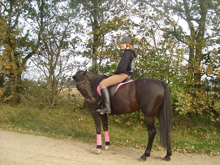 Traver Exposito Attack - Photoshot i skoven/på grusvejen ved banen.  billede 15