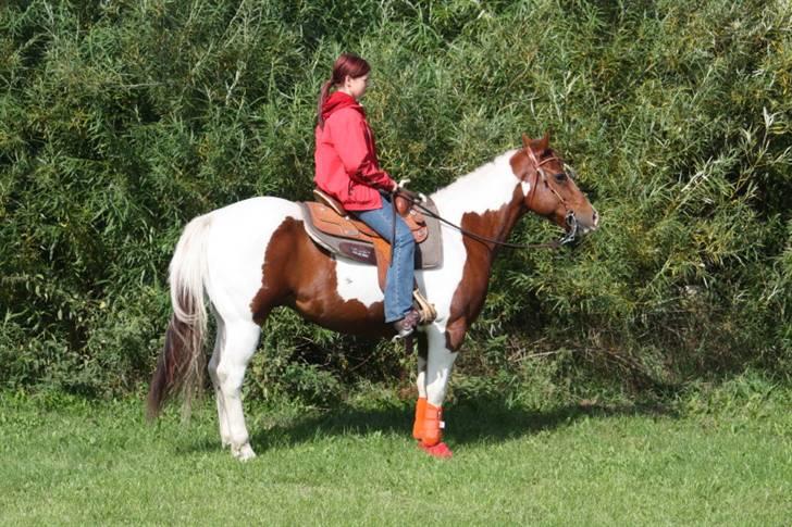 Paint Ima Cutter Kid (mors) - Clinic på Tuse Creek Ranch med James Hansen billede 5