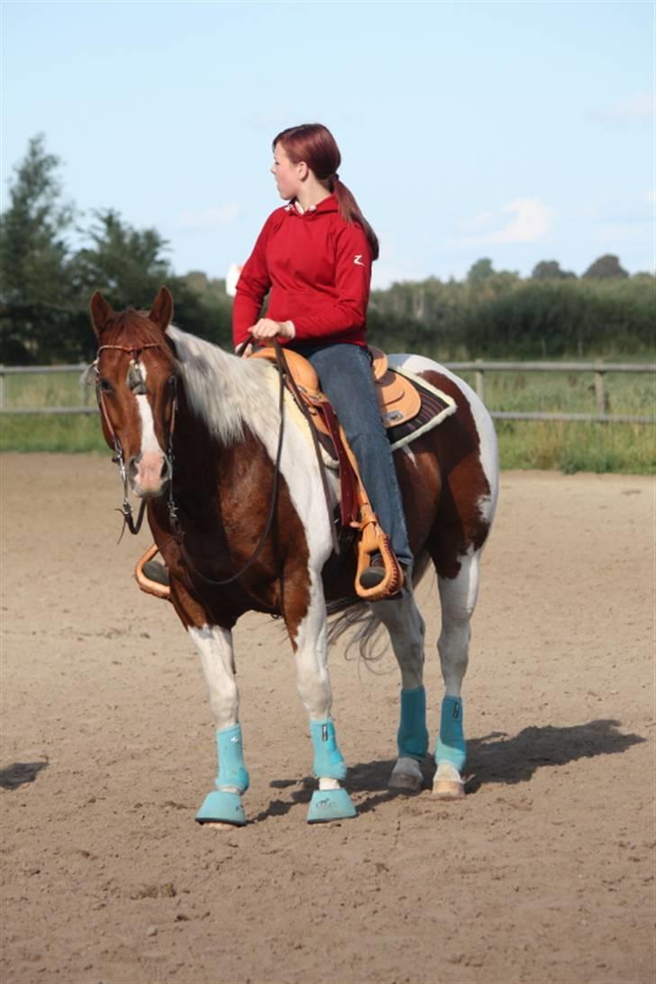 Paint Ima Cutter Kid (mors) - Clinic på Tuse Creek Ranch med James Hansen billede 7